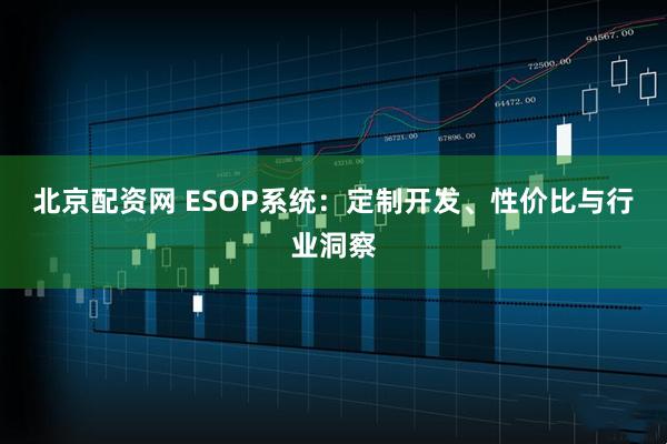 北京配资网 ESOP系统：定制开发、性价比与行业洞察