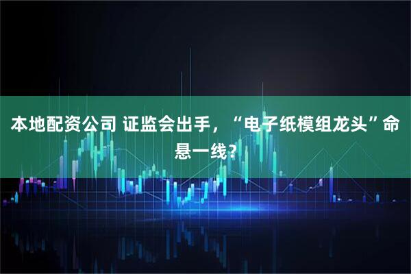 本地配资公司 证监会出手，“电子纸模组龙头”命悬一线？